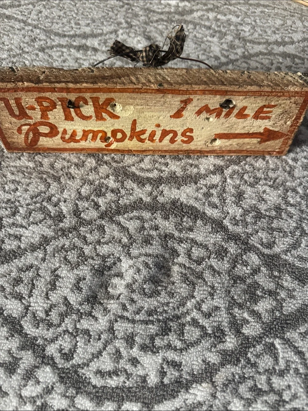 Rustic Orange 
